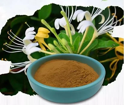 Honeysuckle flower extract price