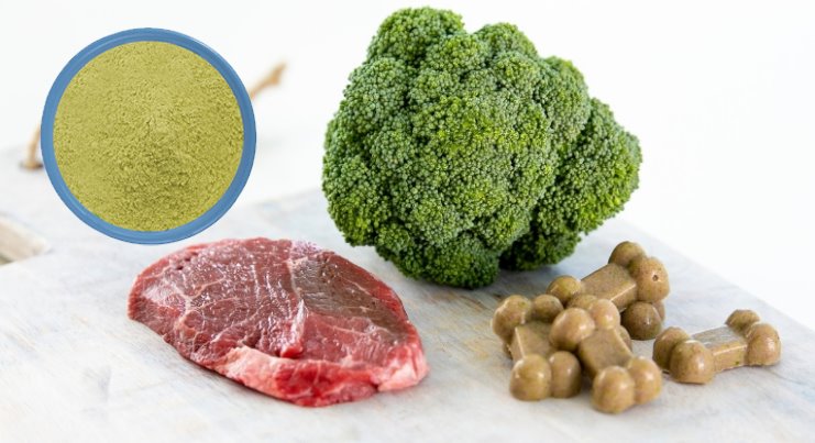 Broccoli jello dog treats