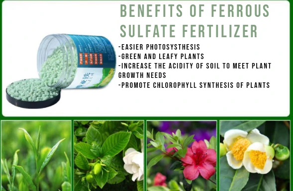 How do you use ferrous sulphate fertilizer