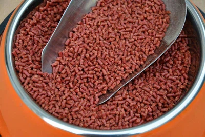 use of Astaxanthin in salmon feed? use of Astaxanthin in salmon feed?