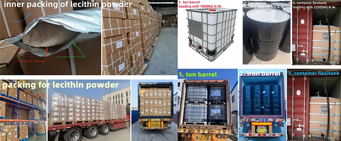 Turmeric bulk powder Turmeric bulk powder