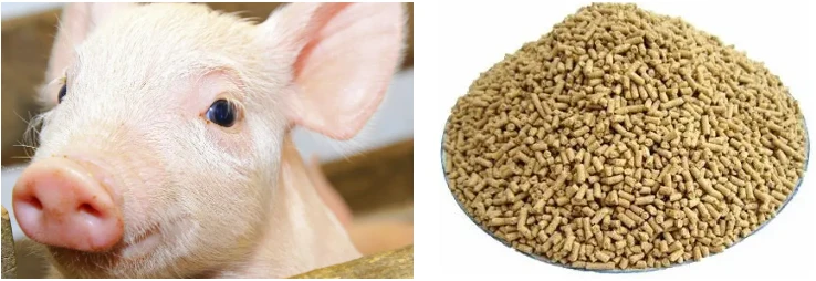Vitamin b1 Powder Application Vitamin b1 Powder Application