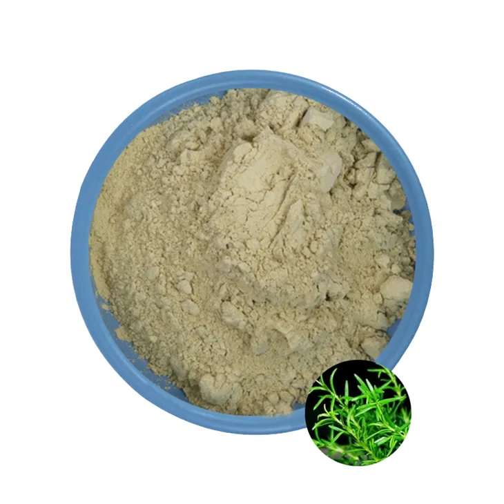 سعر حمض الكارنوسيك