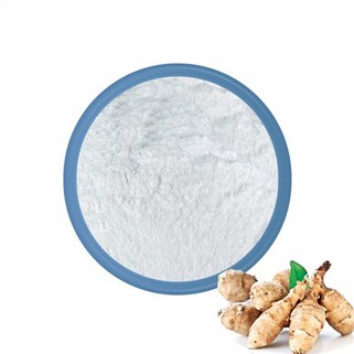 مسحوق الهندباء