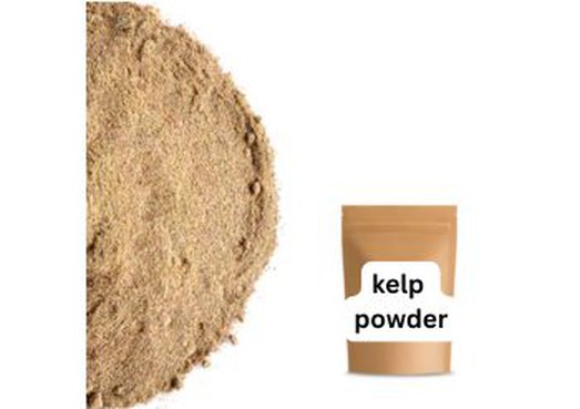 kelp powder organic manufacturer kelp powder organic manufacturer