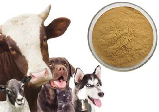 Green Lipped Mussel Powder supplier Green Lipped Mussel Powder supplier